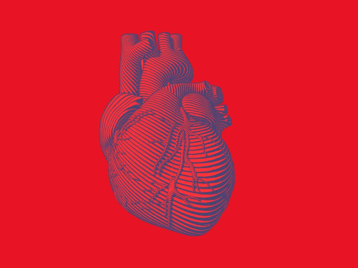 People Can Tell How Fast Your Heart Is Beating Just by Looking at&nbsp;You